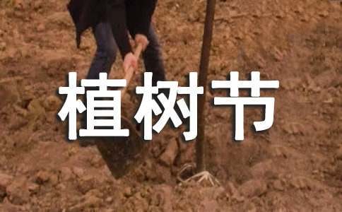 机关篮球队短期训练方案怎么写_0